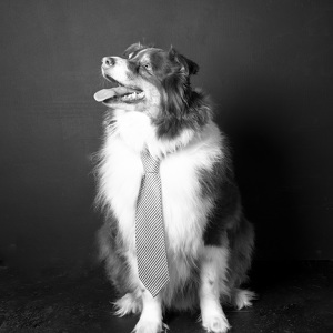 Fundraising Page: Ridley Stewart